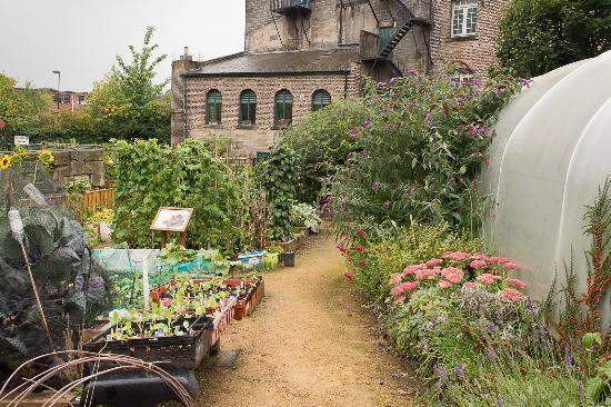 Ouseburn Farm Charity Ltd